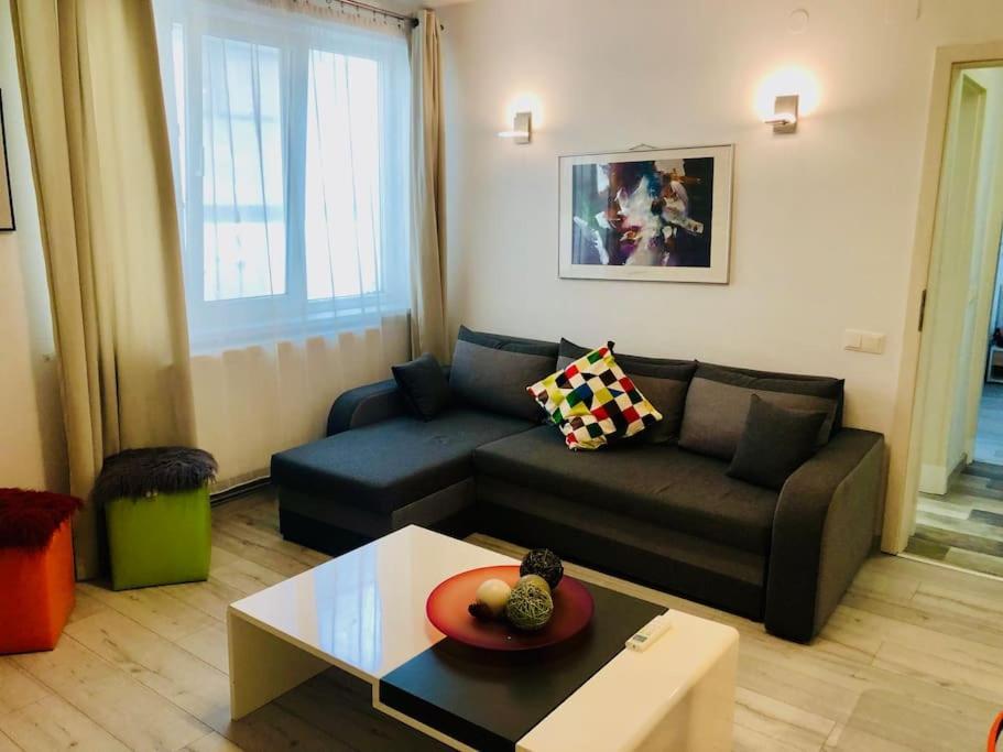 Joy City Stay Colonel Enescu 16 Timișoara Zewnętrze zdjęcie