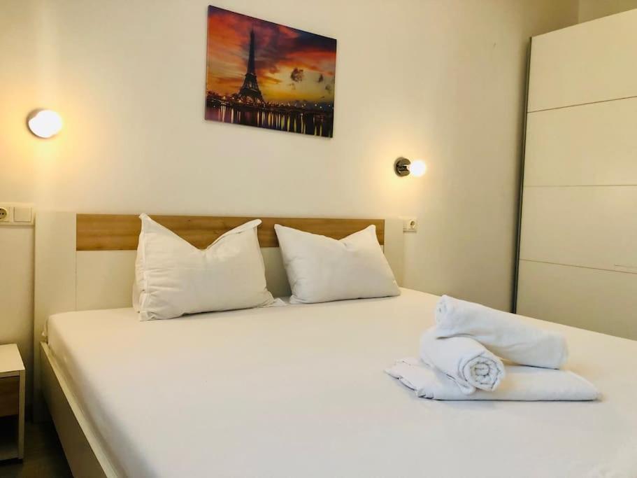 Joy City Stay Colonel Enescu 16 Timișoara Zewnętrze zdjęcie