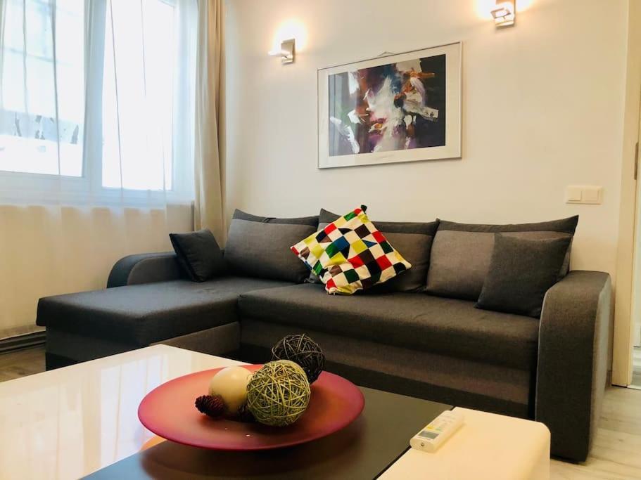 Joy City Stay Colonel Enescu 16 Timișoara Zewnętrze zdjęcie